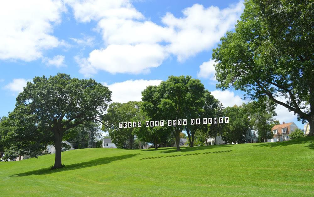 Michael Duffy Trees Don't Grow on Money.jpg